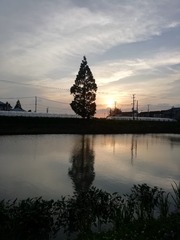 310