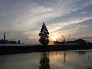 391