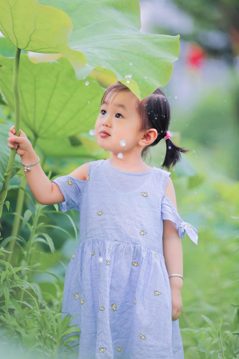 一片荷叶在孩子的眼中就是一片世界!