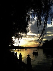 201207125494.jpg