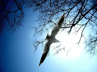 IMG_6445_副本.JPG