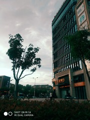 816487