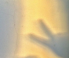 F01B062D-9851-459F-9ADC-4C36C2B4AED6/L0/001
