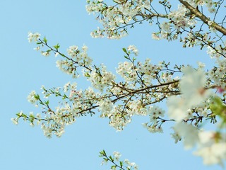 53C95848-F789-4FBC-A8D1-38B20F42B54C/L0/001