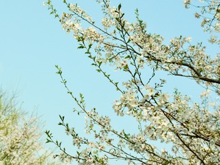 1EBFDBF4-F045-4E9F-8EE7-82ADECC2EC38/L0/001