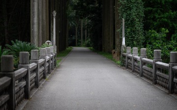 幽幽林道