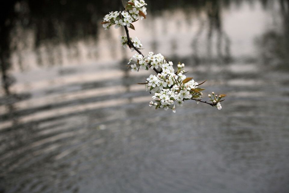 点水<br />
