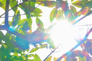 C8FF1000-378D-44F1-BA71-36FC1CE3E274/L0/001