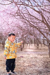 77485AAF-45ED-46AF-A32B-D0D904A58530/L0/001
