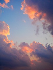 9E756811-0714-4537-8923-A44BD3C08AE2/L0/001