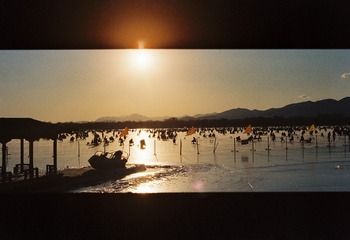 1000046619