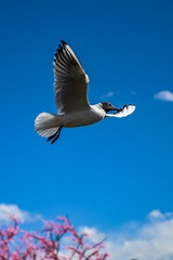 18B0B3D9-7AA3-4C7A-A4A8-2EAD31113F0A/L0/001