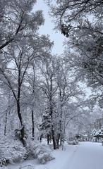 196B61EF-81D6-46FE-AB54-D14E983417D2/L0/001
