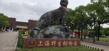 4886