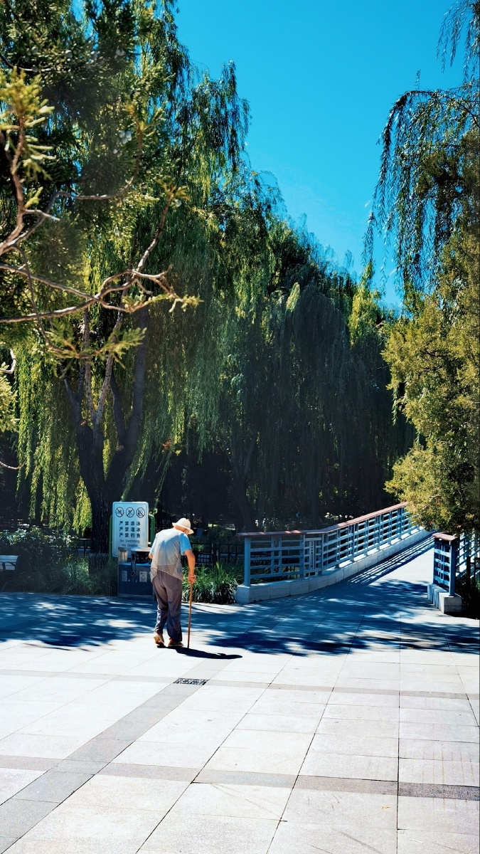 步履蹒跚的孤单老人