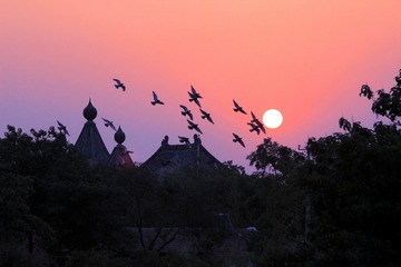 IMG_9485_