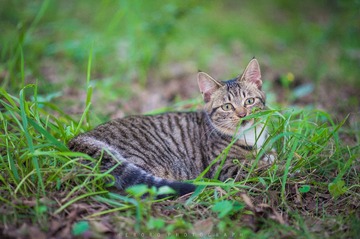 DSC_5911.jpg