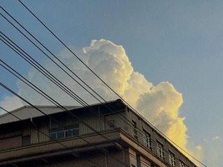 D20C78B9-BFE2-46C9-86D3-4EEB1899732B/L0/001