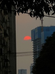 1000063160