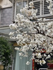 A162363C-41CE-4707-A1F0-2500FBC4BB49/L0/001