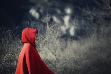 1502546