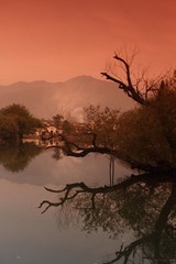 DPP_0294.JPG