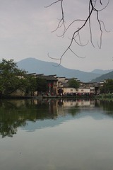 DPP_0305.JPG