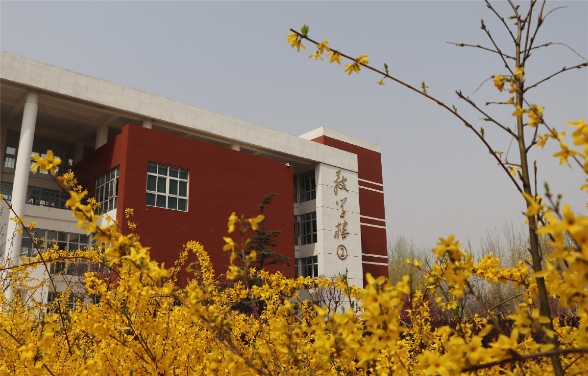 醉美高校赏花季醉美齐鲁师范学院