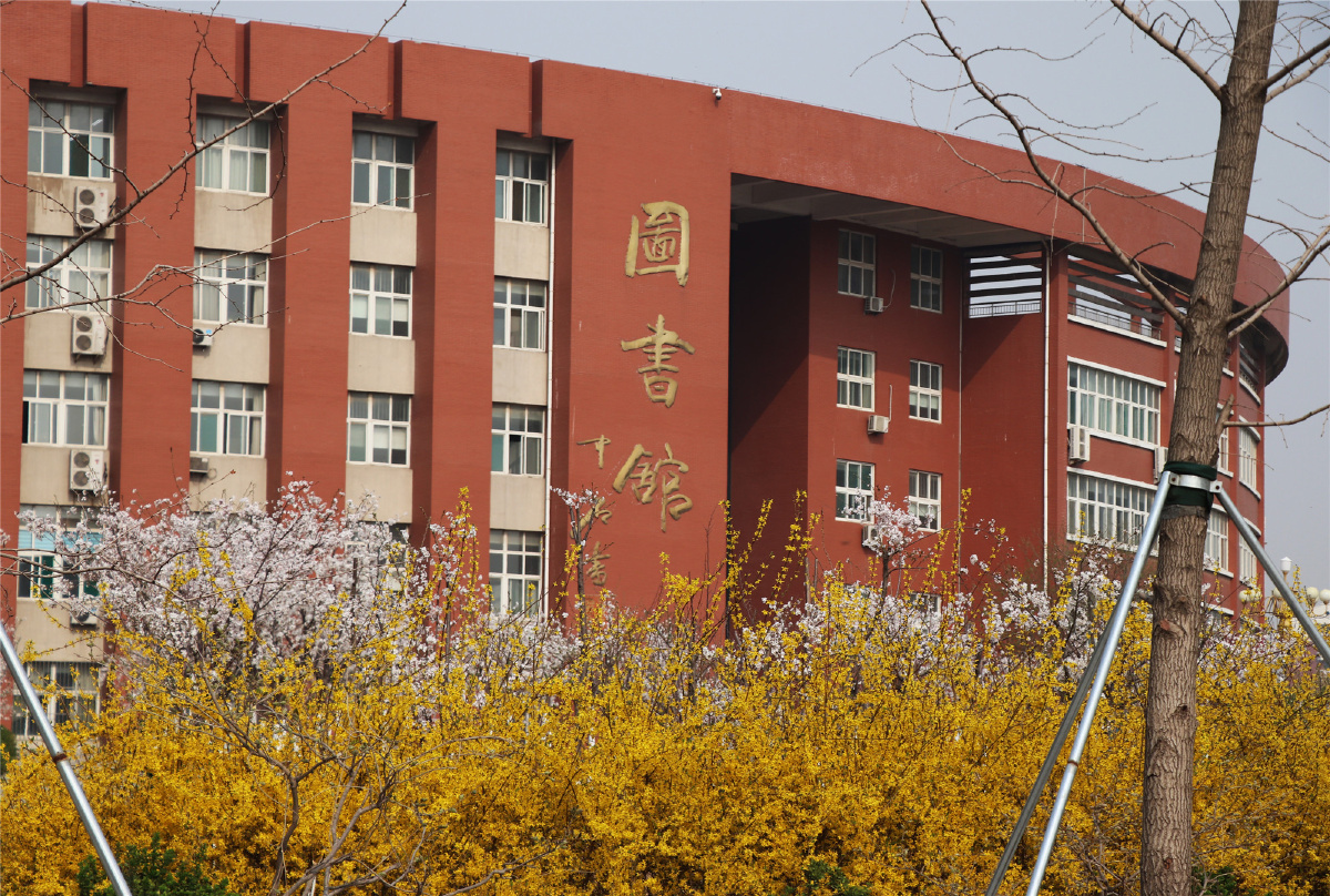 醉美高校赏花季醉美齐鲁师范学院