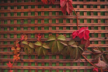 9B0BA429-04F8-4676-8CB9-CA231601EED2/L0/001