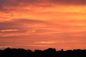 D71957A8-97F6-4EA3-A2A3-2F6D1110AC58/L0/001