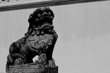 IMG_3700.jpg