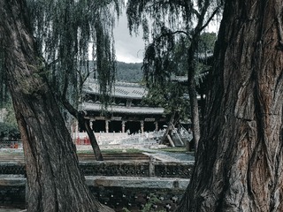 554066