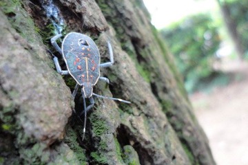 dsc09183_副本.jpg