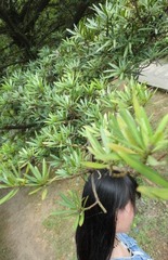 dsc09223_副本.jpg