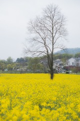 08EAE4CD-E33F-4C78-8D1B-AA9796FD9B9E/L0/001