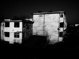 WP_002208