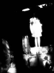 WP_001648