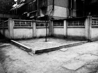 WP_002514