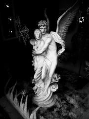 WP_002663