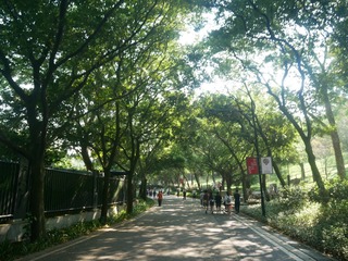 5C5119F1-2C6A-4A17-A6F0-C27596BBCA16/L0/001