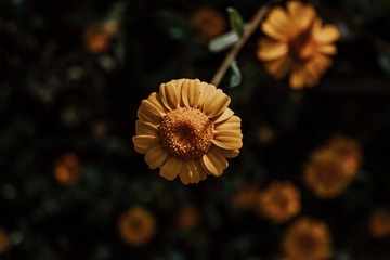 180989