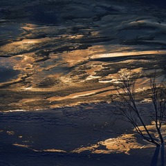 _DSC283-1