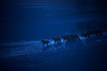 _DSC3261-1