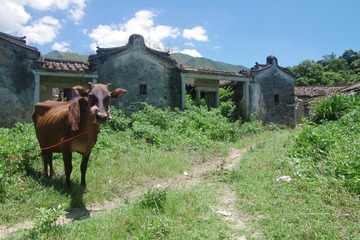 高明村