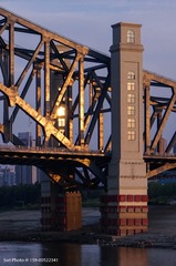 46063