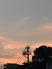 3B614551-7141-4C08-948F-21A8A64637E2/L0/001