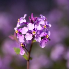 D7F955B3-01BD-45AF-BFEF-7755AA269D5B/L0/001