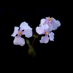 5A431F87-6F1C-4EA1-A244-447AB802E25D/L0/001