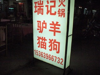 PA250446.JPG